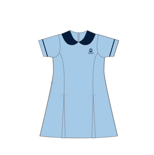 Primary Summer Dress